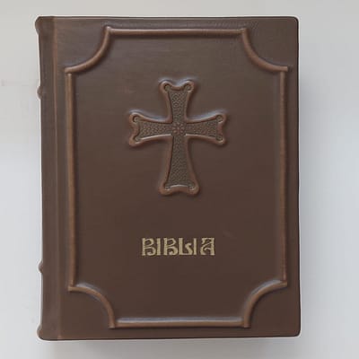 Biblia Anania , chenar relief