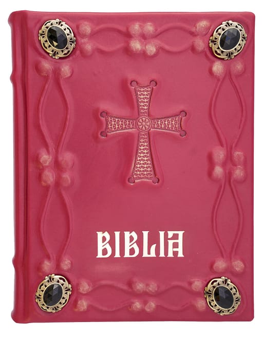 Biblia Anania unicat model relief, husă nețesut